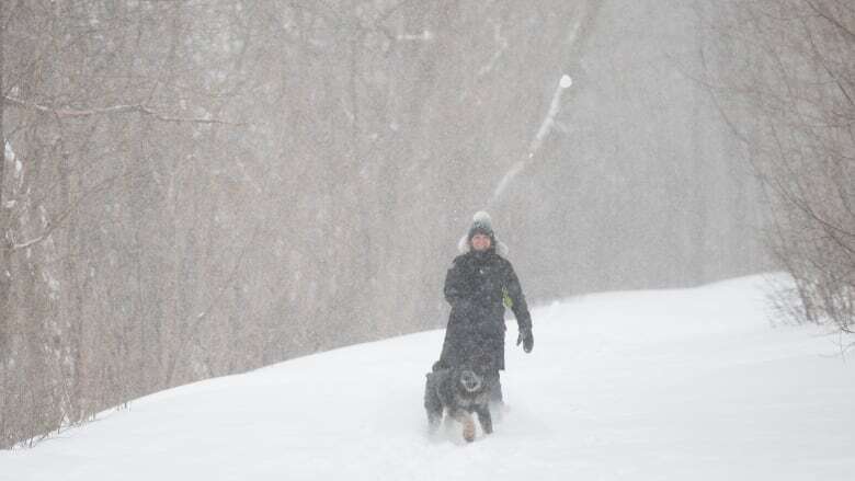 Intense winds hamper cleanup efforts as Ottawa winter storm intensifies