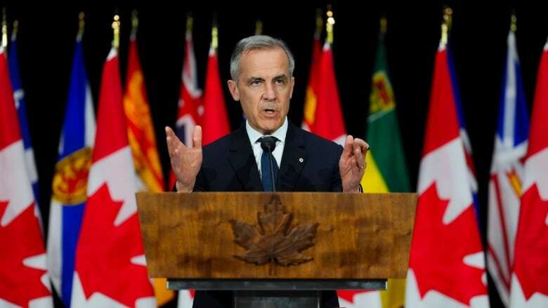 Mark Carney to run for seat in Ottawa's Nepean riding: sources