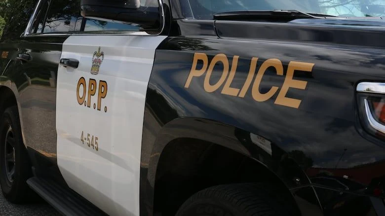 OPP say Sky Sagassige, 18, killed by vehicle in Espanola
