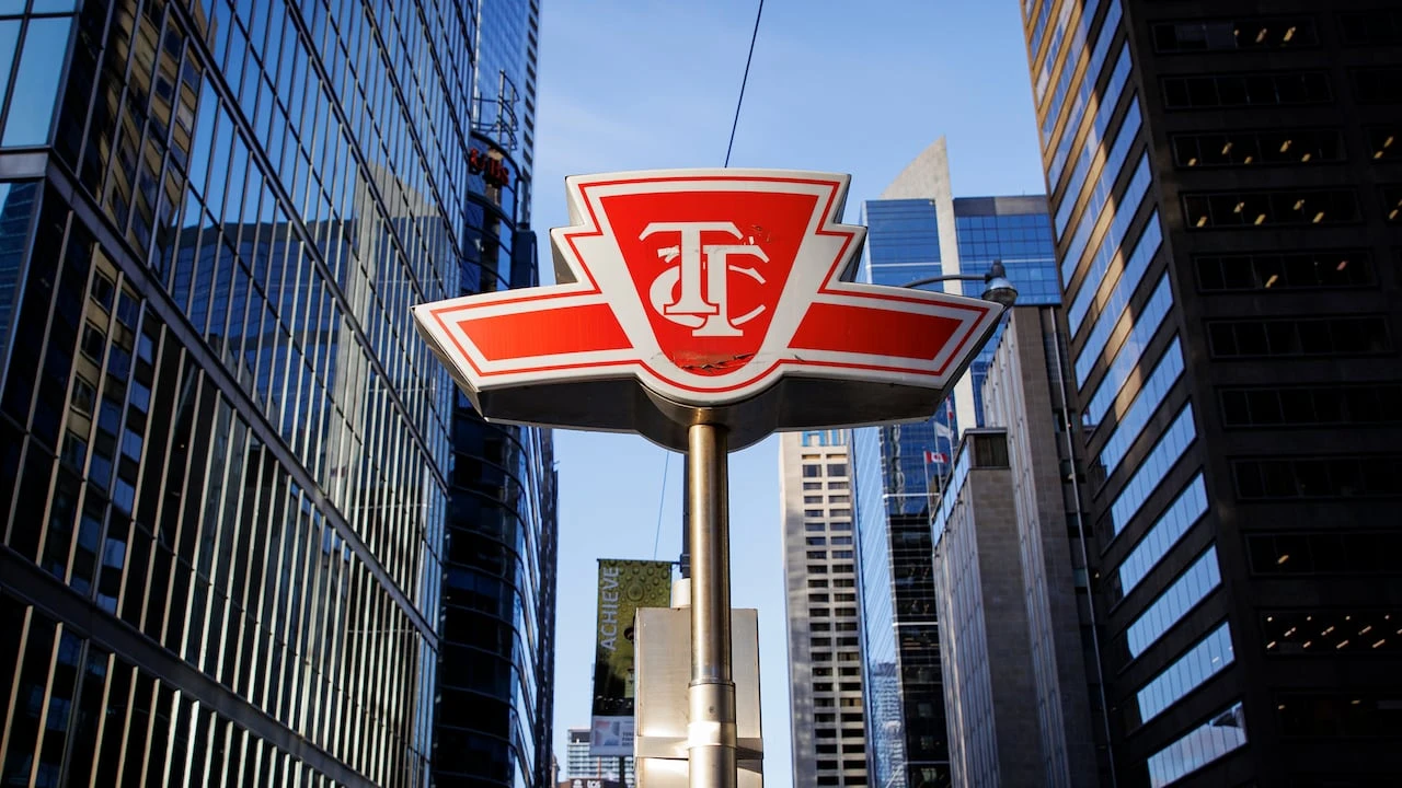 TTC CEO says high customer satisfaction during World Cup offers lessons for everyday service