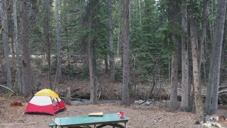 Site-saving still a problem at Yukon campgrounds, says ombudsman