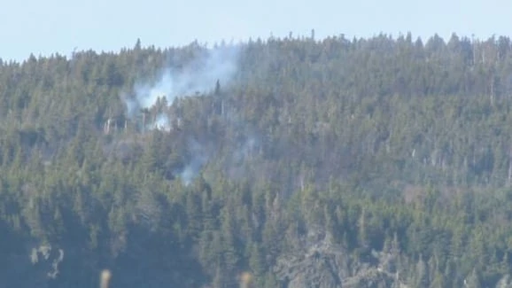 Wildfire put out, after 'very fast' spread in Flatrock, N.L.