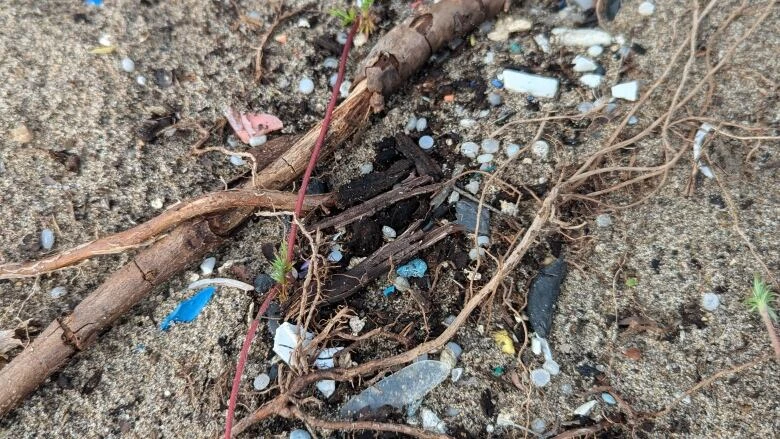 Tiny plastics 'like rice on your kitchen floor' pose hidden pollution risk on Toronto's waterfront
