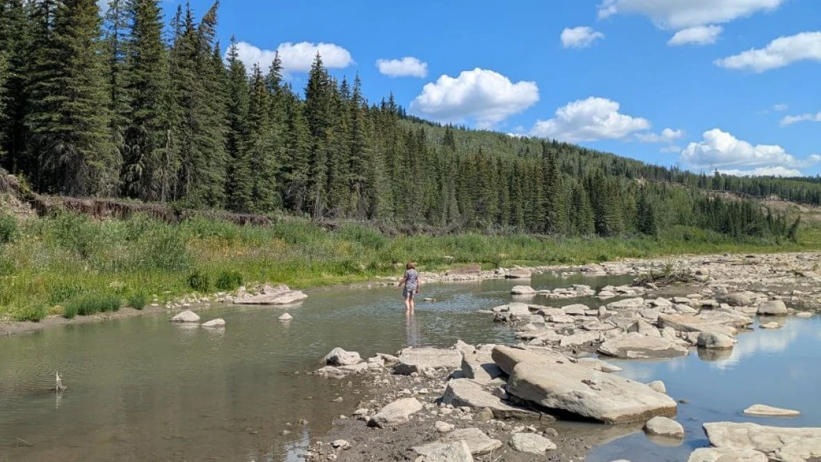 Dawson Creek, B.C., eyes $100M water pipeline as deepening drought threatens drinking supply