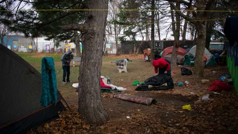 Hamilton city council considers encampment ban for 7 lower city parks