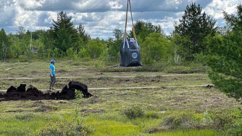 Research project aims to restore peatland carbon sink in Sudbury, Ont.