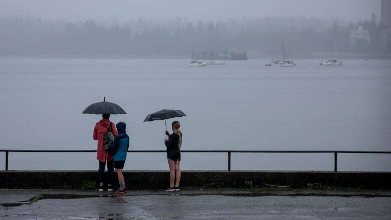 Vancouver's wet 2024 offers little relief to rest of B.C. as drought persists