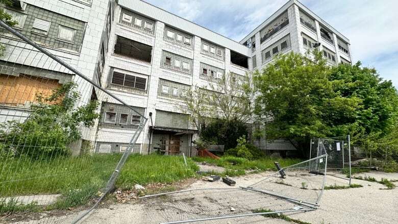 'Somebody will die' if former McCormick's factory isn't torn down, neighbours say