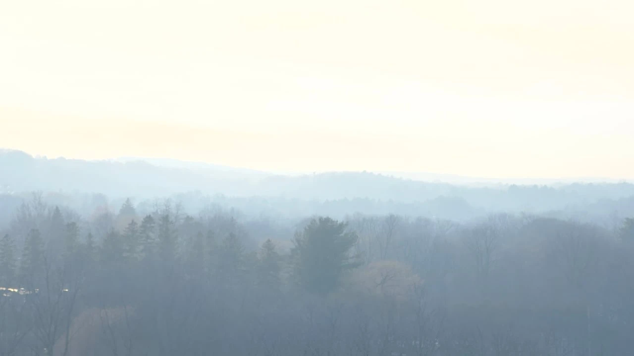 Not just bad for your lungs; air pollution also impacts your brain, say McMaster researchers
