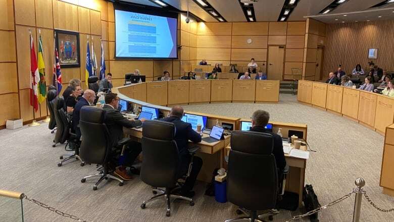 'We just need to be good stewards': Regina city council proposes further reductions to REAL budget