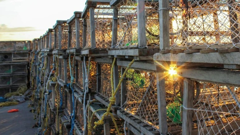 Lobster fisherman survives close call, urges safety while on the water