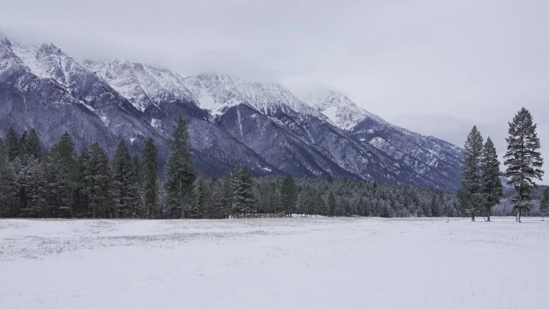 Low snowpack, early snowmelt, warm weather in forecast point to higher B.C. drought risk, says forecaster