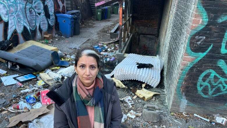 No one knows who owns this Toronto laneway, but neighbours say it's become a dangerous dumping ground