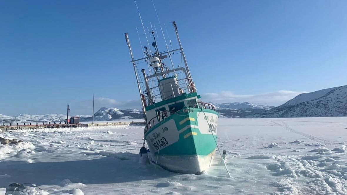 CBC N.L.'s Adam Walsh joins Oxford Climate Journalism Network
