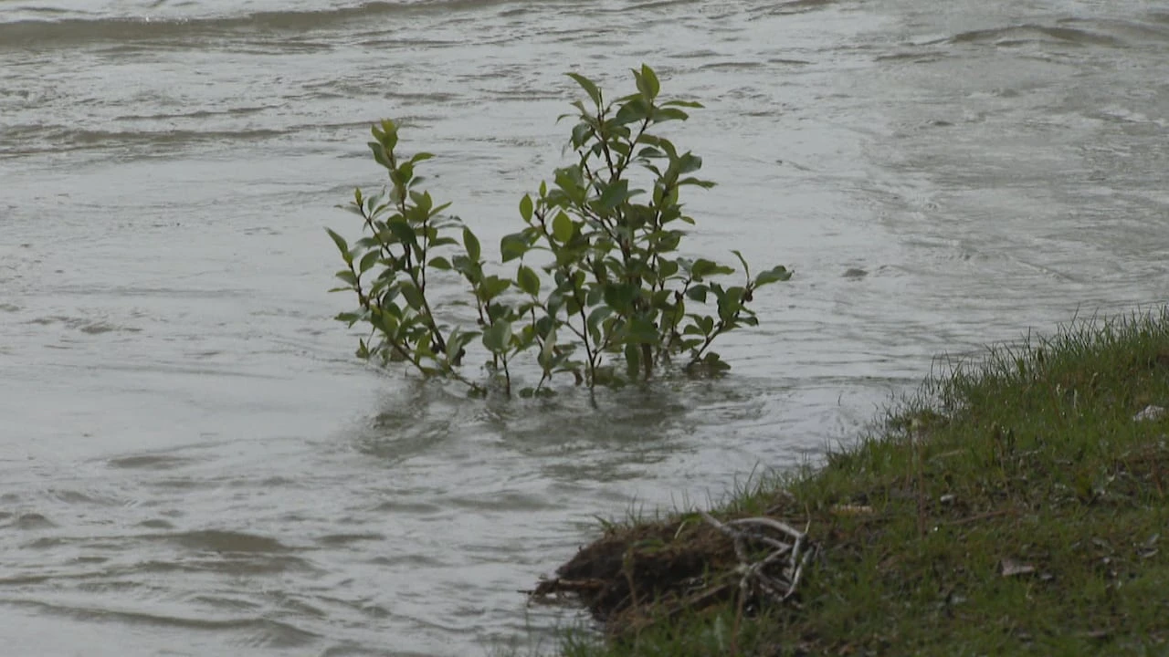 Heavy rainfall triggers flood warnings, evacuation alerts west of Calgary