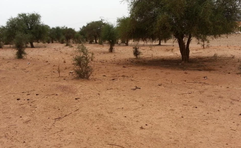 Many Villagers Killed in Attack Near Niger-Mali Border