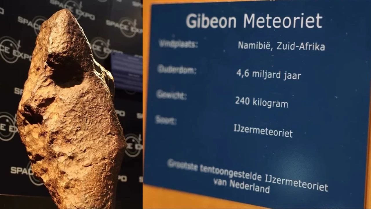 Meteoryt trafił na aukcję. Rekordowa kasa
