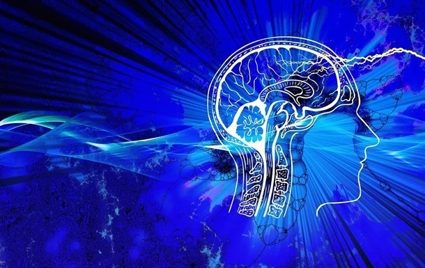 Малорухливий спосіб життя може зменшувати мозок - дослідження