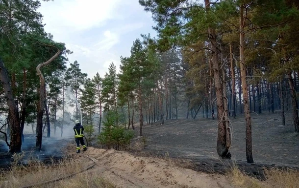 У Луганській області загасили лісову пожежу