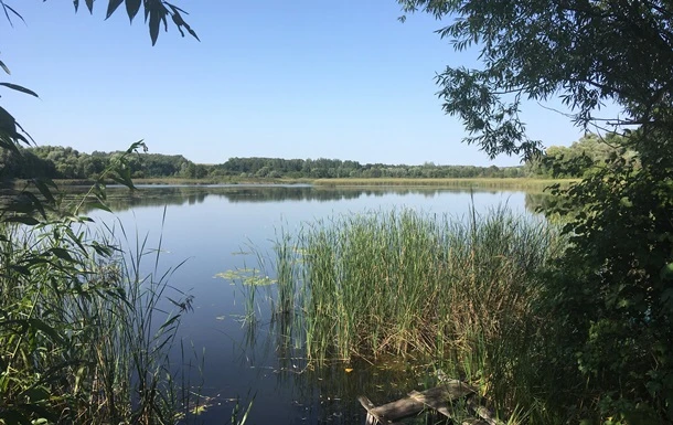 Погода на вихідні: тепло, на заході дощі