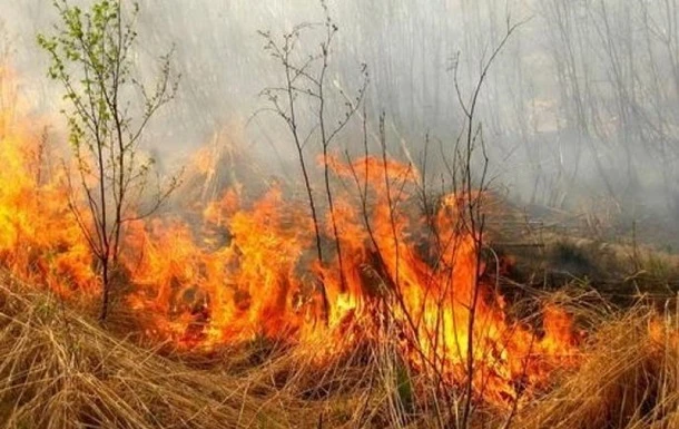 Поліція назвала чотири джерела загоряння в Луганській області