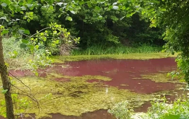 На Чернігівщині водойма стала рожевою з невідомих причин