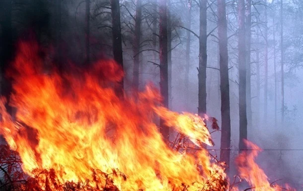 На Харківщині зупинено рух поїздів через пожежі