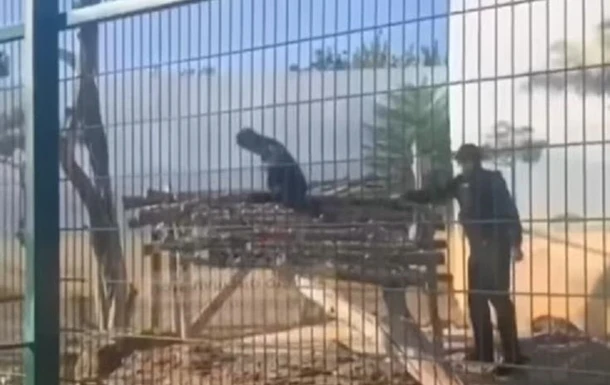 В Одесі чоловік забрався у вольєр з левами