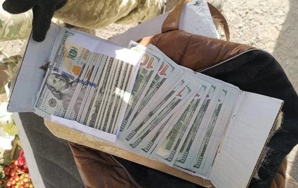 Жінка використовувала собаку, для перенесення валюти в 