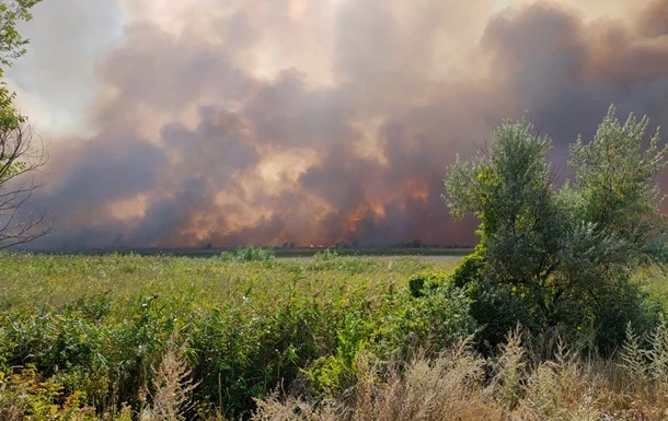 Сепаратистів підозрюють у підпалах на Донбасі