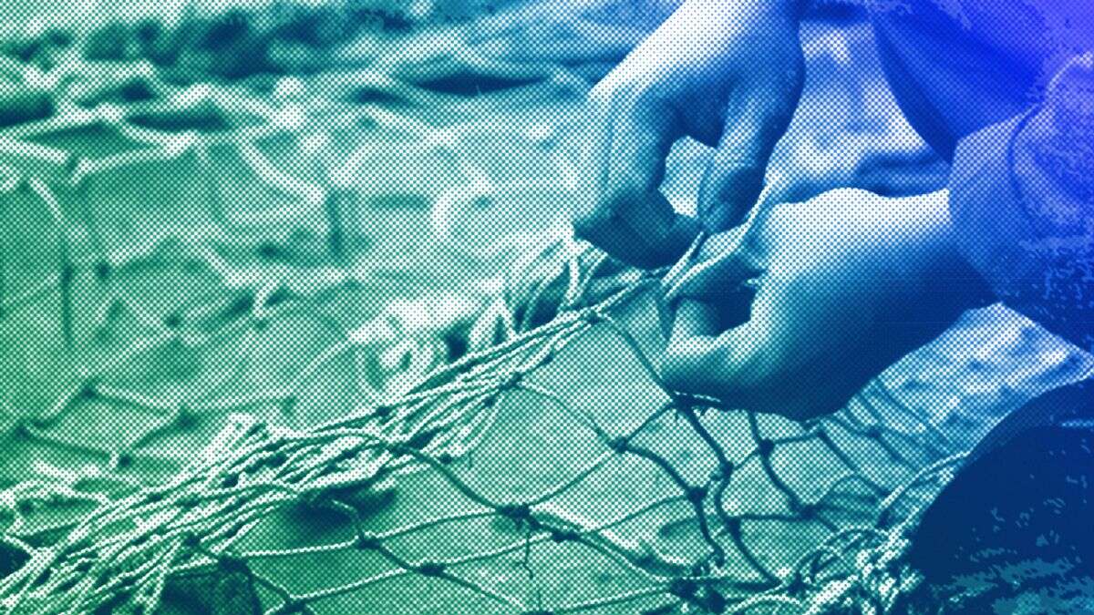 Euroviews. La crise de la pêche dans l'UE exige des mesures immédiates et non un optimisme déplacé