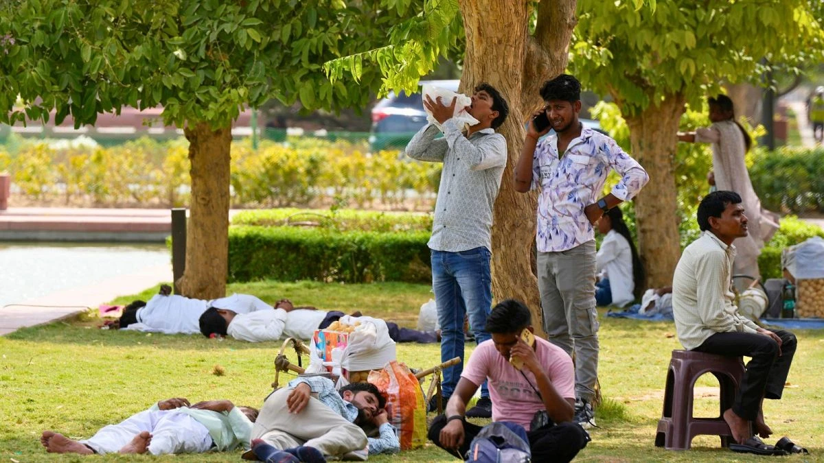 Más árboles en ciudades podrían haber salvado 1,1 millones de vidas