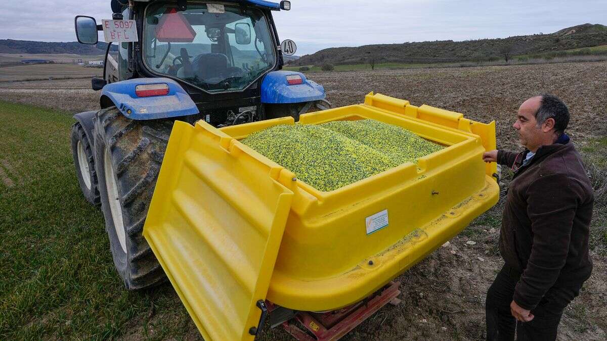 La UE quiere romper su dependencia de los fertilizantes rusos