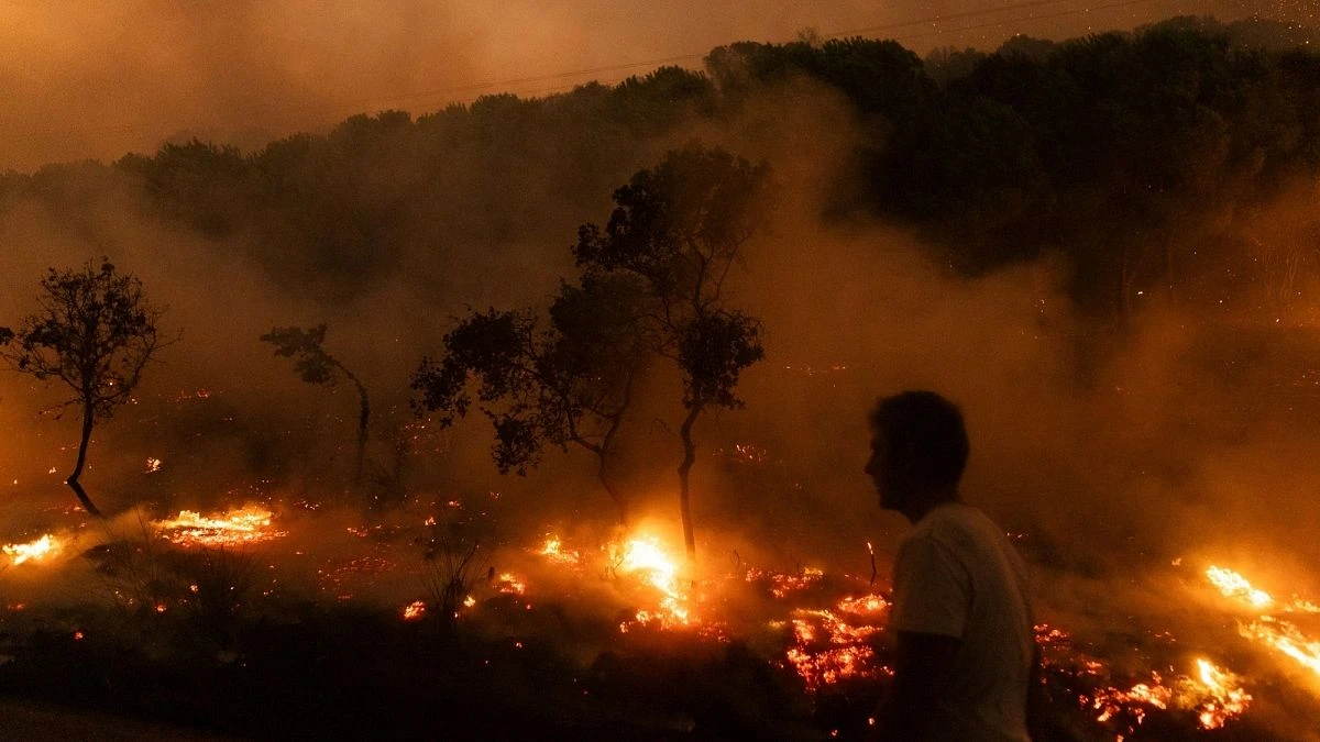 La Cour des comptes européenne met en évidence l'inefficacité des dépenses de l'UE dans la lutte contre les feu de forêt