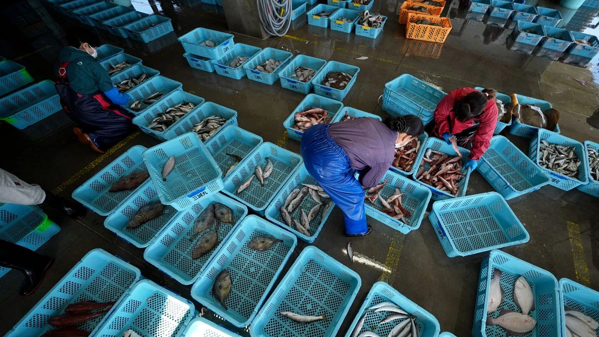 La Chine reprend les importations de produits de la mer japonais après le rejet des eaux usées de Fukushima