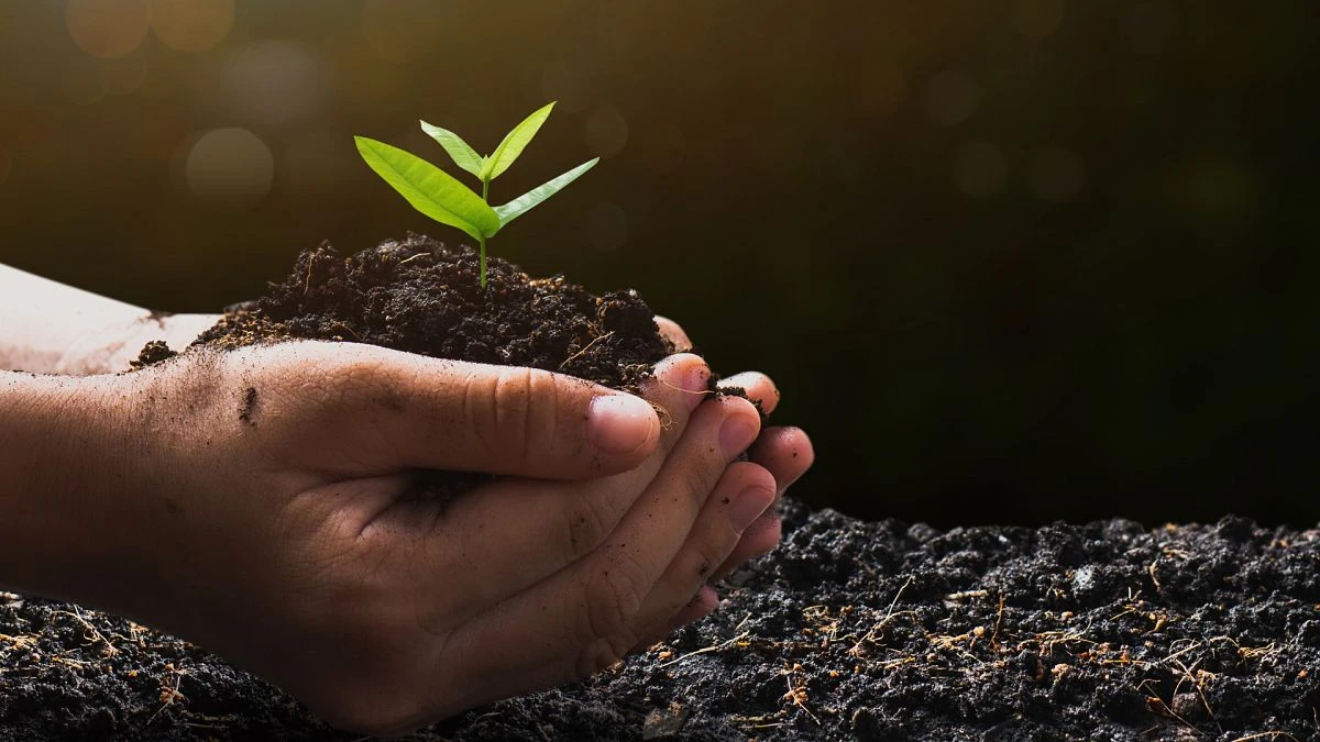 Nuevo tratado ambiental en Europa: 