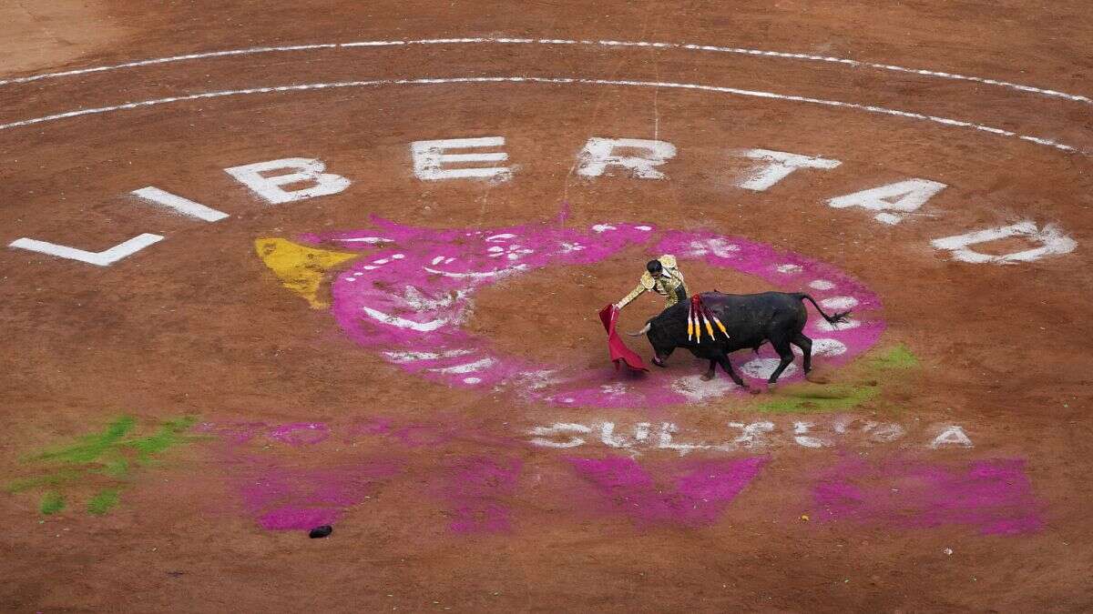 Ciudad de México prohíbe las corridas de toros violentas