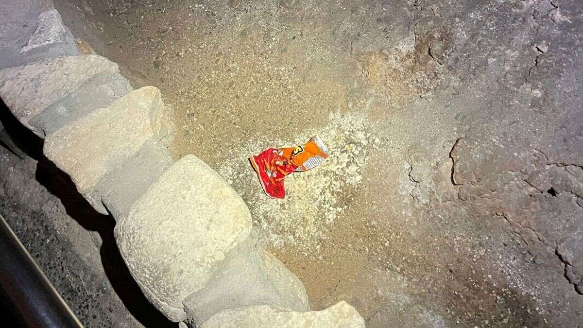 Cómo una bolsa de Cheetos devastó el ecosistema de un parque nacional