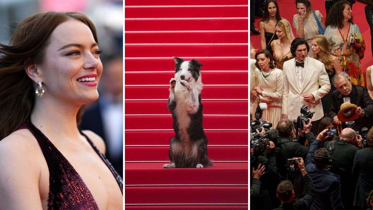 Cannes 2024 en photos : 15 moments inoubliables sur le tapis rouge