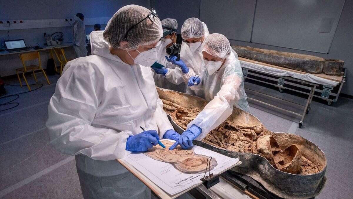 Notre-Dame : la tombe de Joachim du Bellay a-t-elle été découverte ?