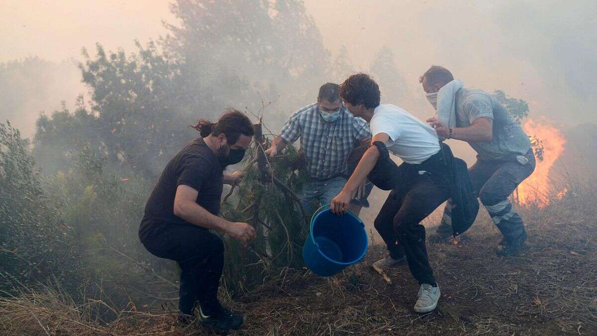 Los incendios forestales extremos aumentan en estos países a medida que el clima se calienta