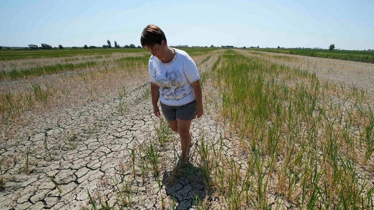 Le changement climatique réduira nos revenus de 20 % d'ici à 2050
