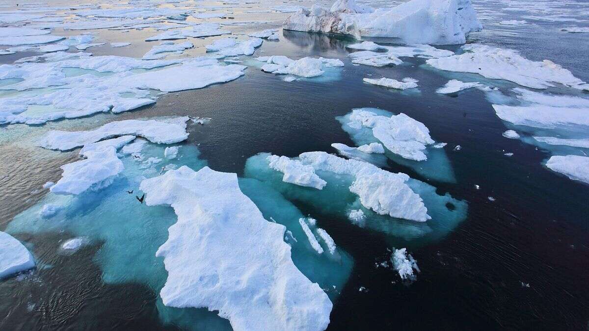 Se sabe el mes en que el Ártico podría perder todo su hielo marino