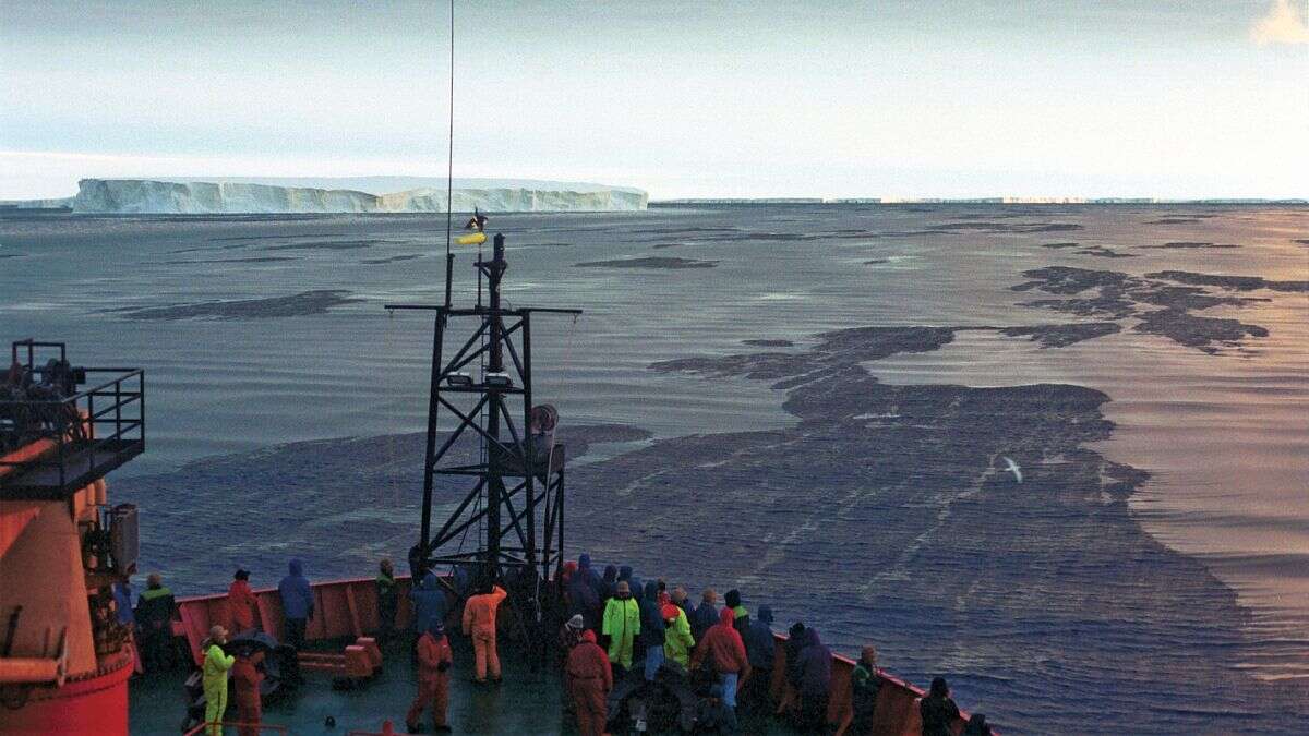 ¿Añadir hierro al océano aumentaría la absorción de carbono?