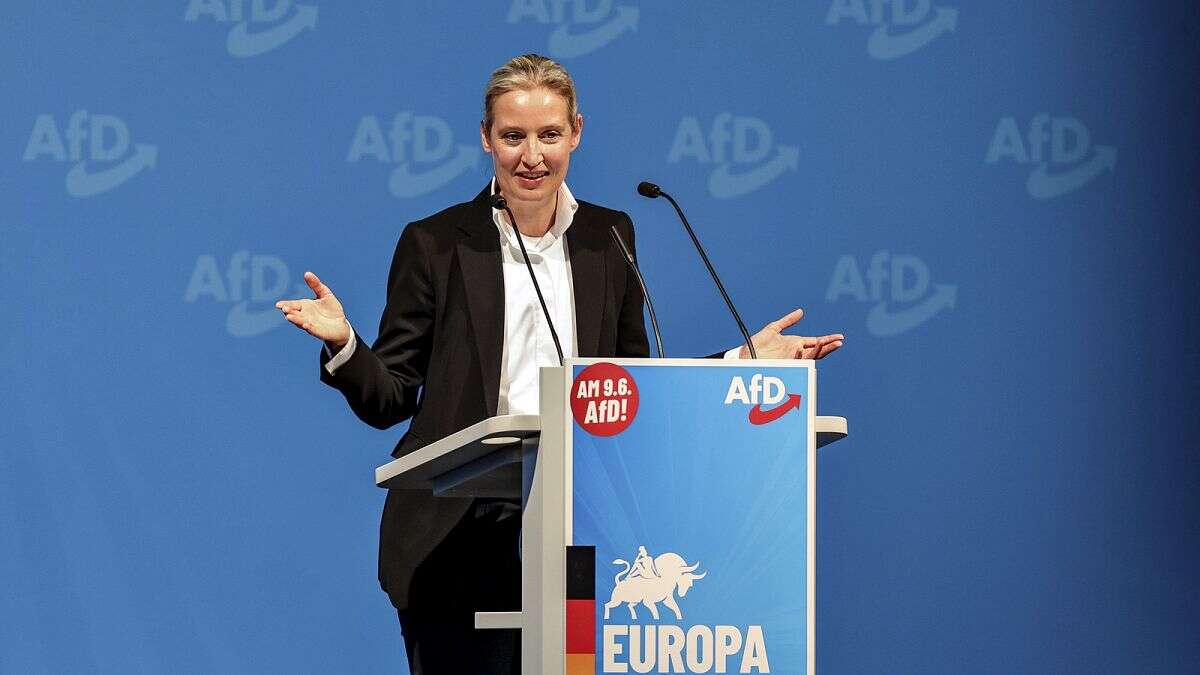 L'AfD et ses alliés forment un nouveau groupe d'extrême droite : Europe des nations souveraines