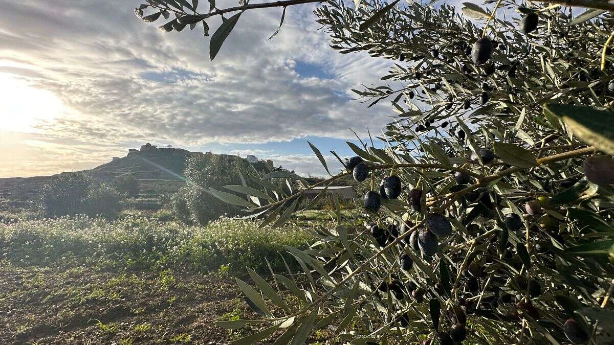 Comment un village rural espagnol revit grâce aux nomades numériques