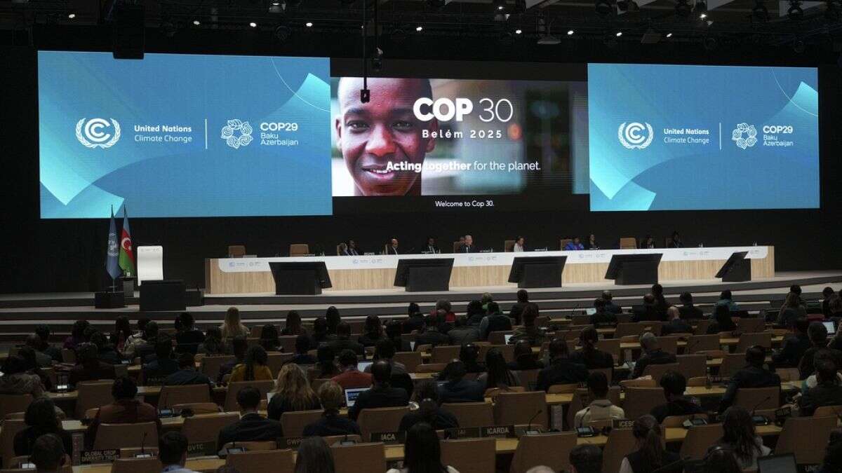 COP29 Bakú: ¿una plataforma sobre la que construir?