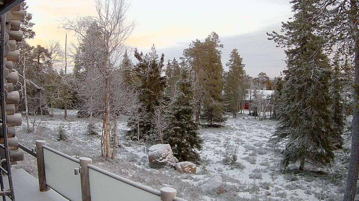 Laponie : des voyages de Noël annulés en raison du manque de neige