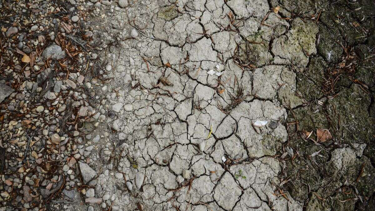 Se seca el segundo río más grande de Hungría