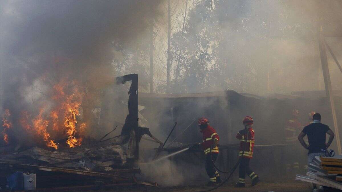 Incendies au Portugal : 500 millions d'euros de fonds européens pour réparer les dégâts